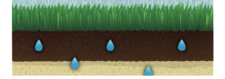 環境芝　保水・吸収性